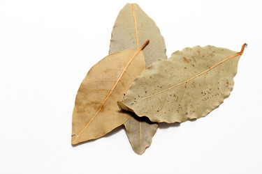 Similar image 500864