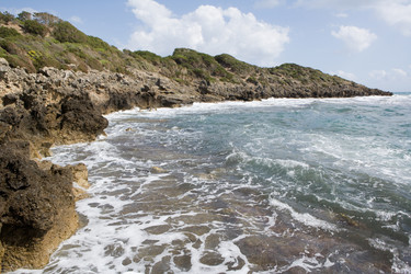 Similar image 500888