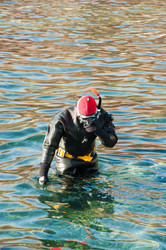 Similar image 500895