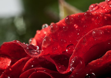 Similar image 500972