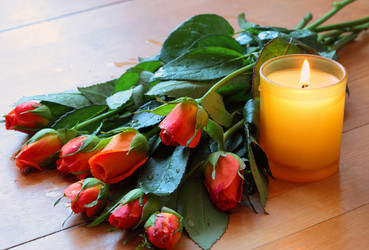 Similar image 500987