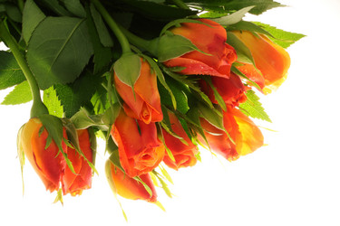 Similar image 500990