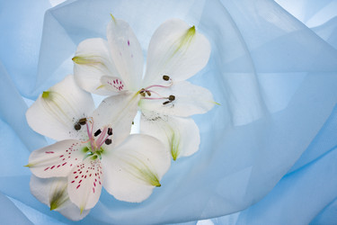 Similar image 501001