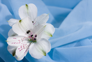 Similar image 501002