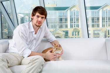 Similar image 501017