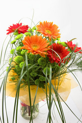 Similar image 501020