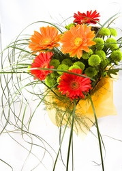 Similar image 501021