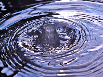 Similar image 501045