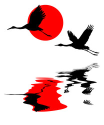 Similar image 501046