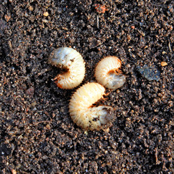 Similar image 501051