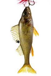 Similar image 501055