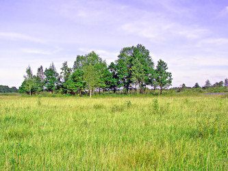 Similar image 501071