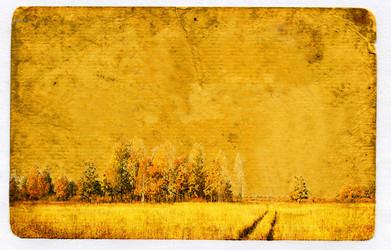 Similar image 501085