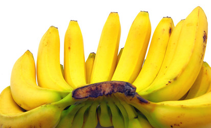 Similar image 501086