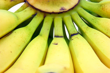 Similar image 501096