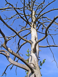 Similar image 501097