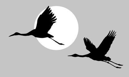 Similar image 501101