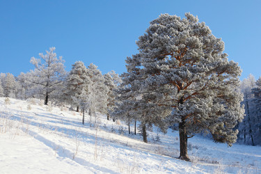 Similar image 501109