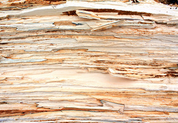 Similar image 501111