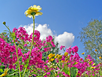 Similar image 501135