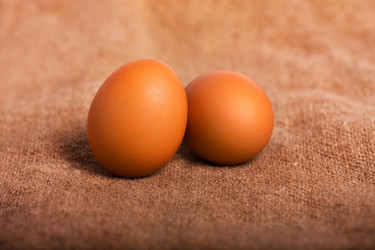 Similar image 501145