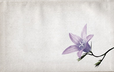 Similar image 501159