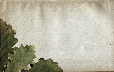 Similar image 501161