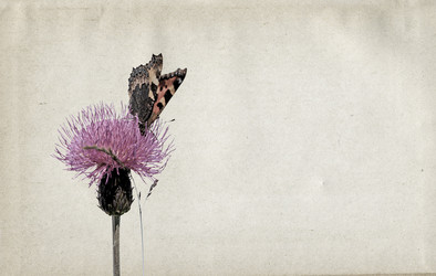 Similar image 501165