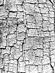 Similar image 501167