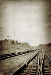 Similar image 501169