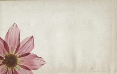 Similar image 501172