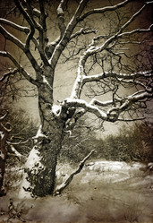 Similar image 501177