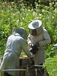 Similar image 501178