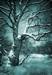 Similar image 501181