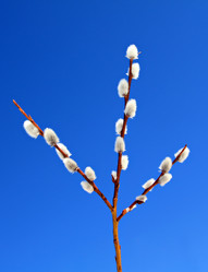 Similar image 501223