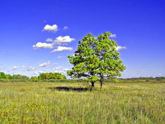 Similar image 501228