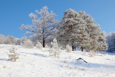 Similar image 501242