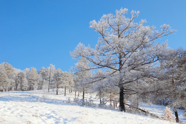 Similar image 501243