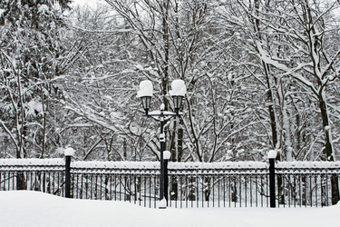 Similar image 501255