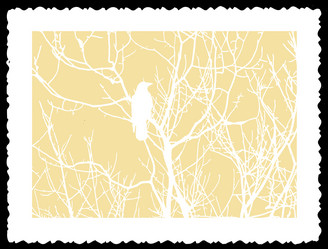 Similar image 501271