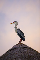 Similar image 501308