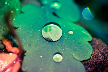 Similar image 501309