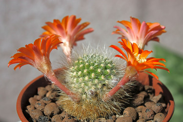 Similar image 501326