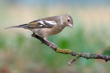 Similar image 501336