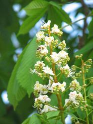 Similar image 501366