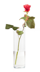 Similar image 501441