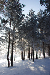 Similar image 501487