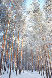 Similar image 501492