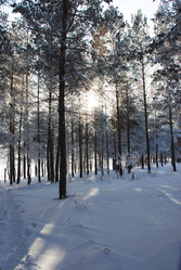 Similar image 501494