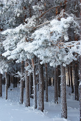 Similar image 501501